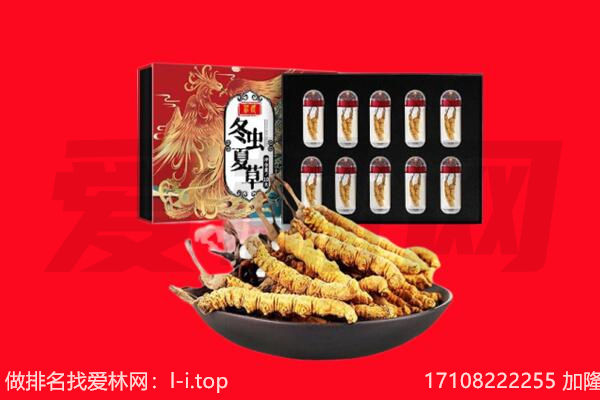 昌吉回收虫草.jpg